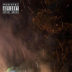 温柔的遗孀希岛爱理
