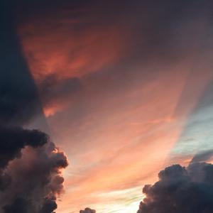 温柔的遗孀希岛爱理
